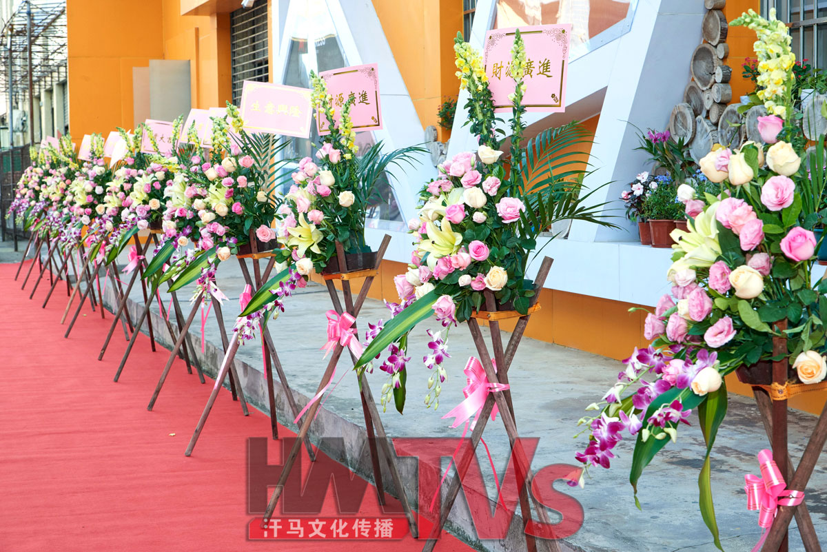 東莞開(kāi)業(yè)慶典